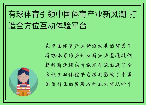 有球体育引领中国体育产业新风潮 打造全方位互动体验平台